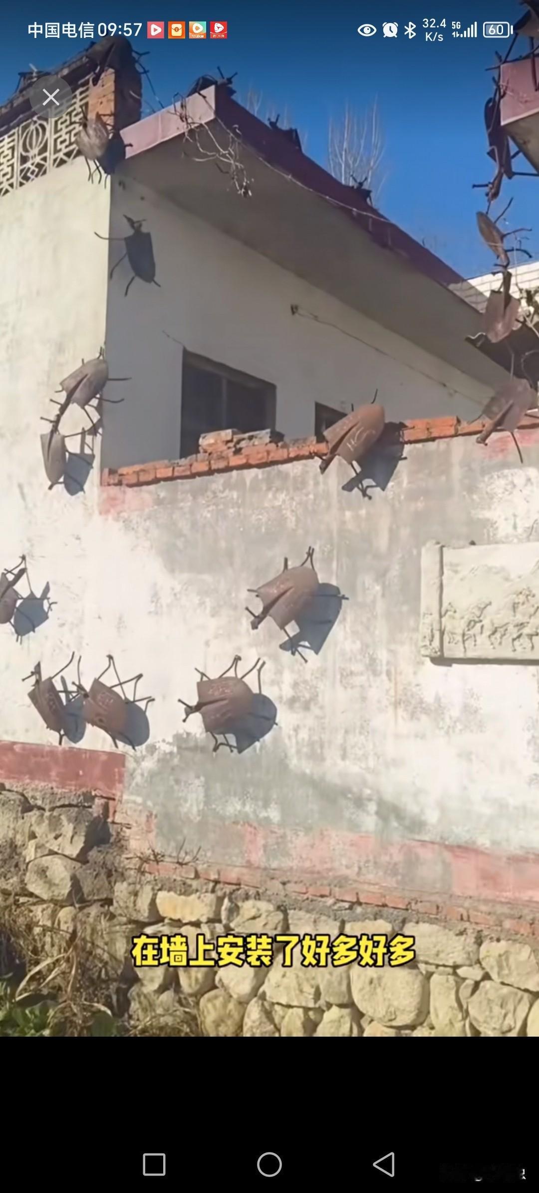 农村人最信这些奇门遁甲的怪招。
铲子阵如何破解。
看似金甲虫，又像牛屎龟。
这样