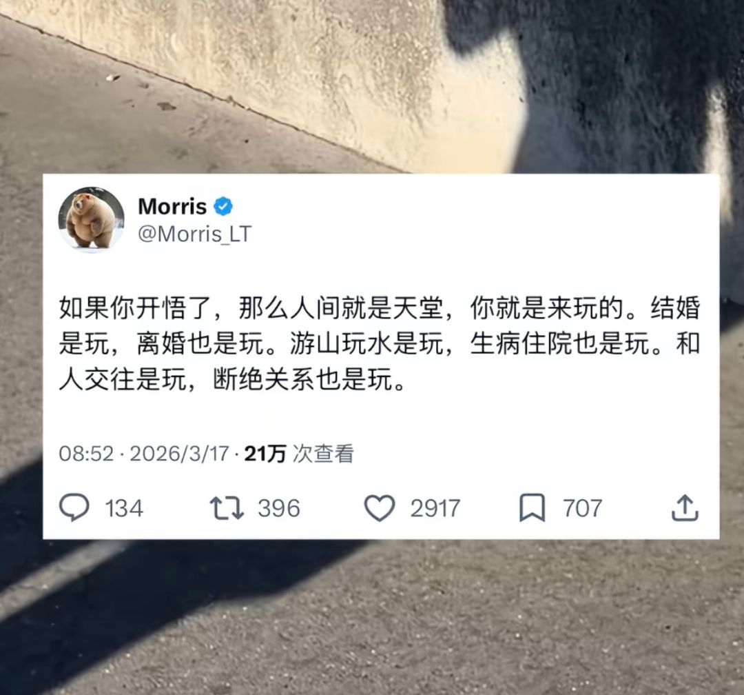 大师  我悟了 