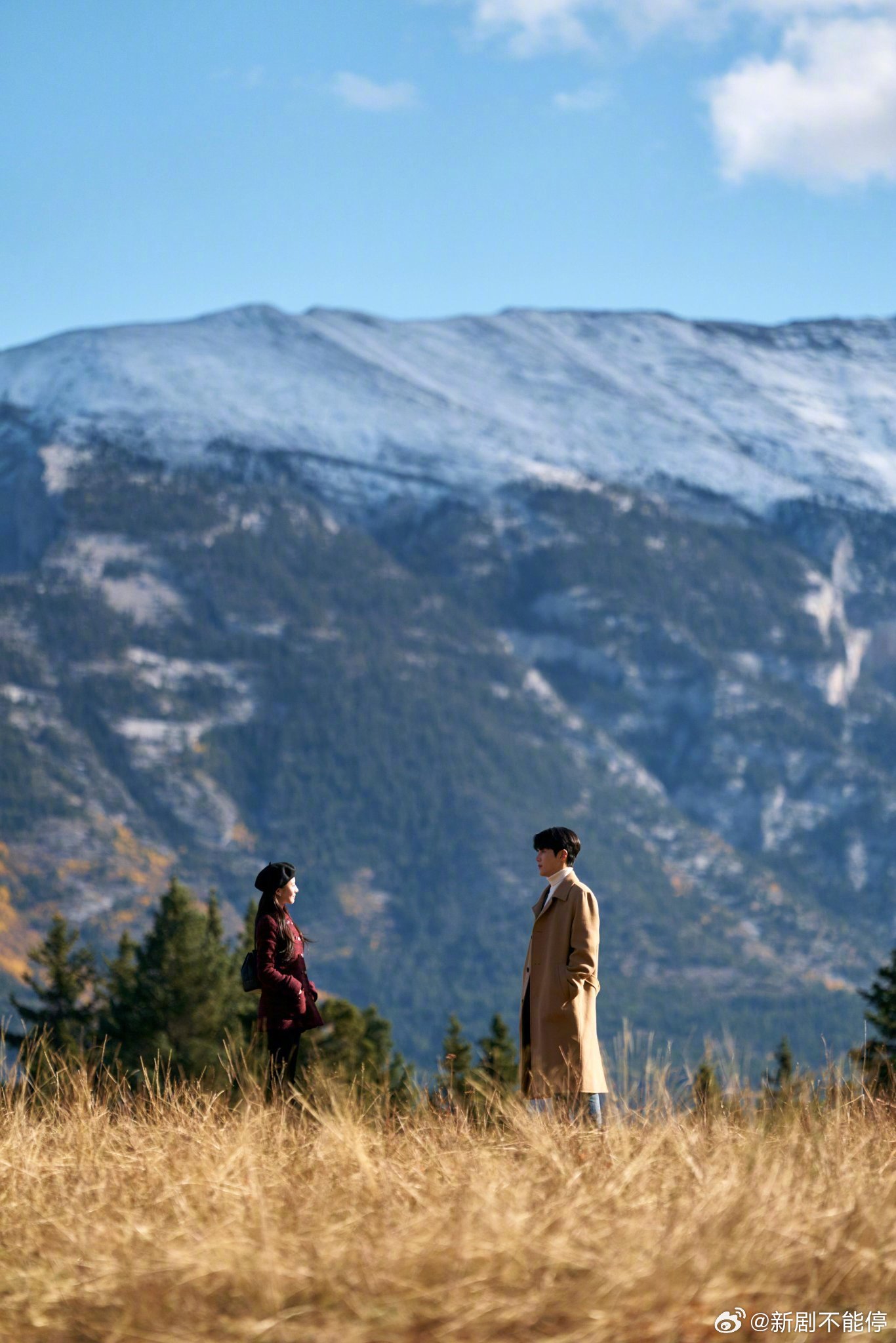 剧照太美了，让人想起那年在瑞士的李正赫和尹世理了……金宣虎、高允贞、福士苍汰主演