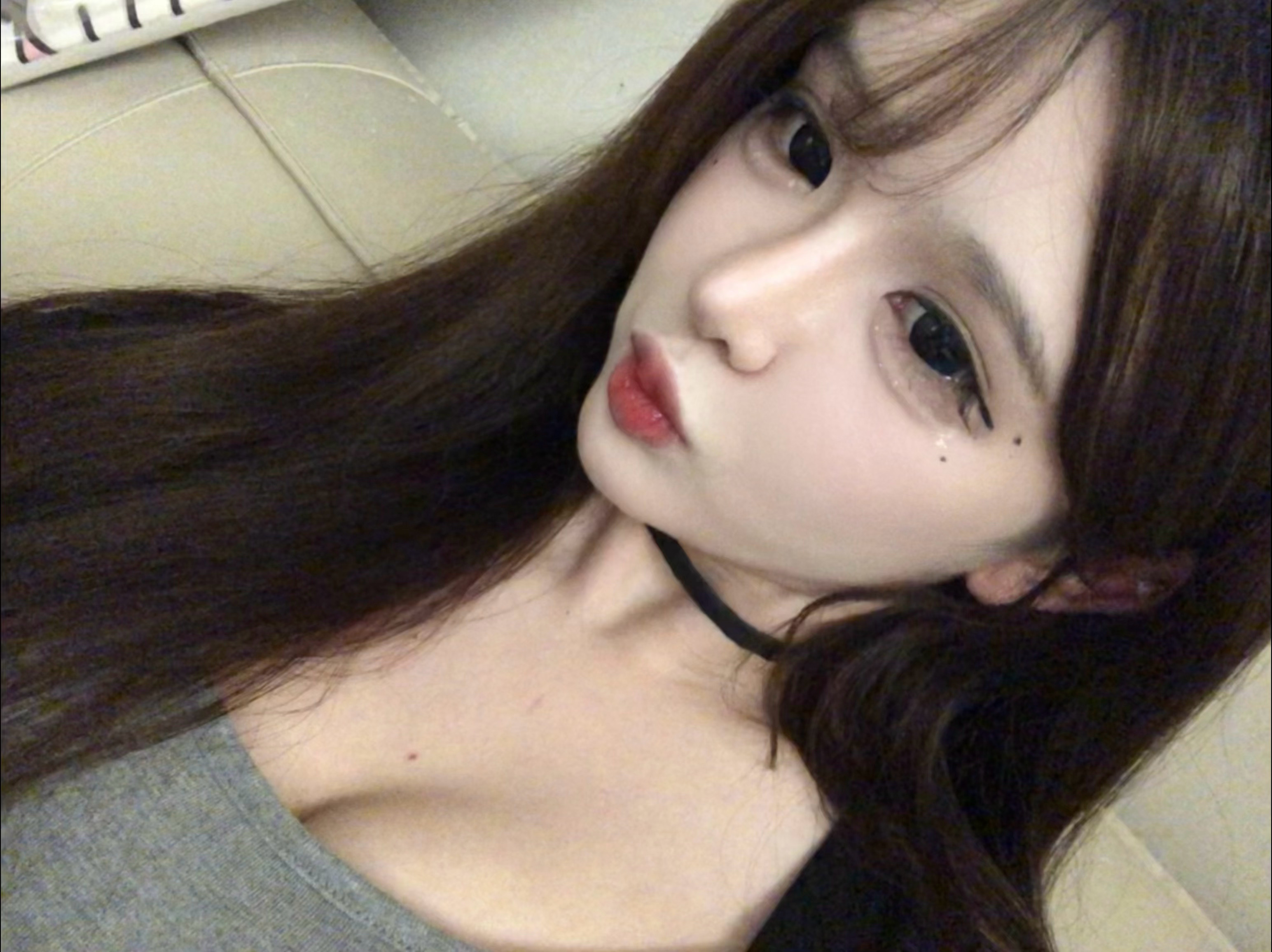 [卡皮巴拉] ​​​