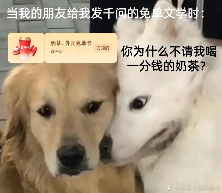 千问免单文学 为了千问免单卡直接卷生卷死！拉遍亲友还不够，在线蹲一波新人助力，一