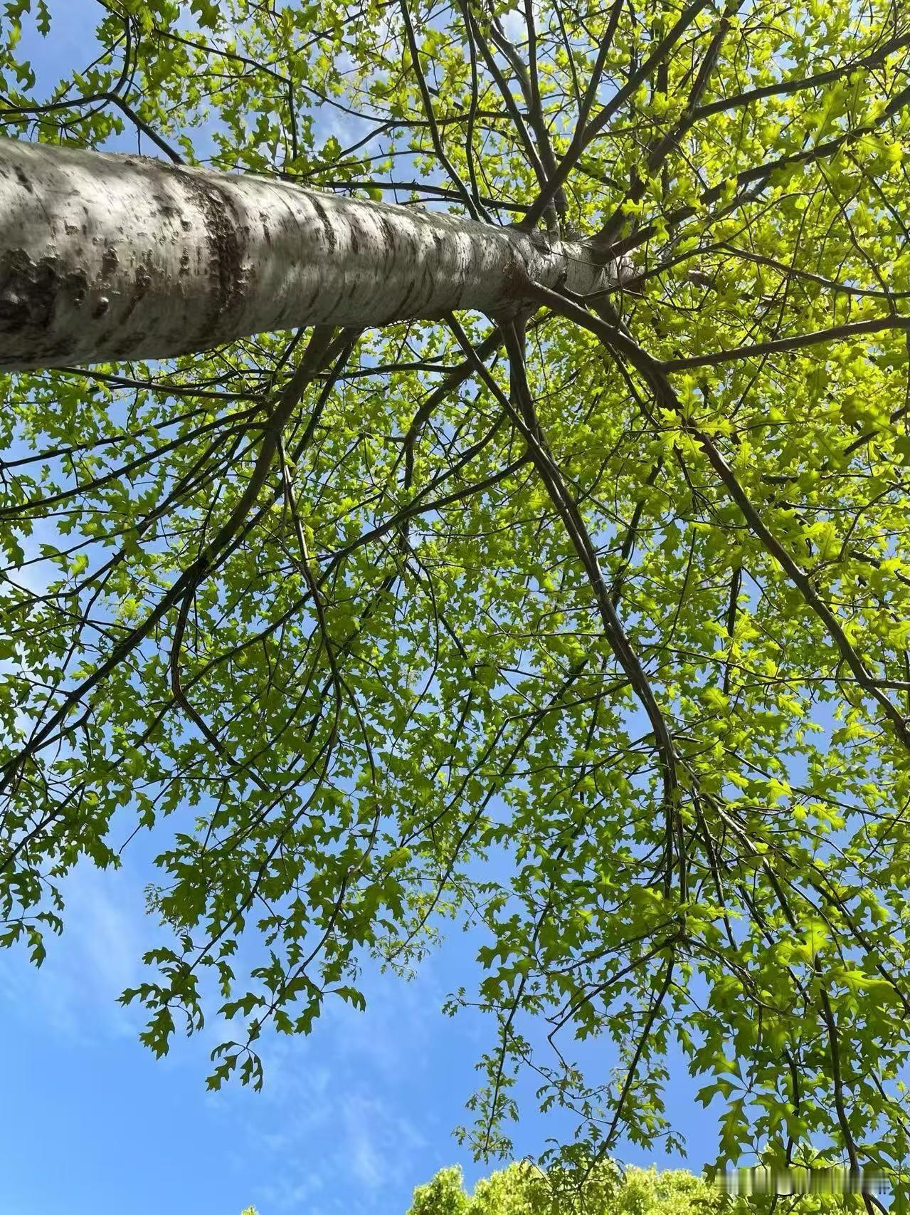 春天，哪哪都是美的，适合多出去走走。