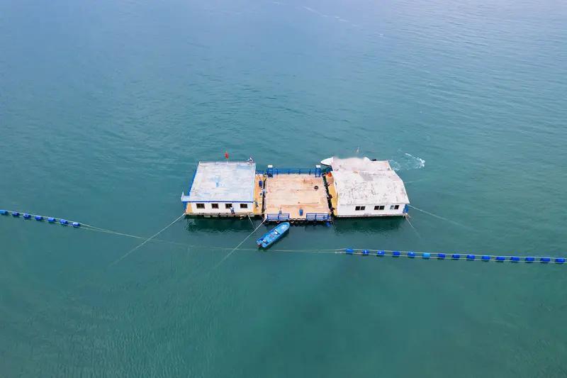全球首个！中国把数据中心沉进海里，彻底改写算力基建规则

中国算力基建再迎史诗级