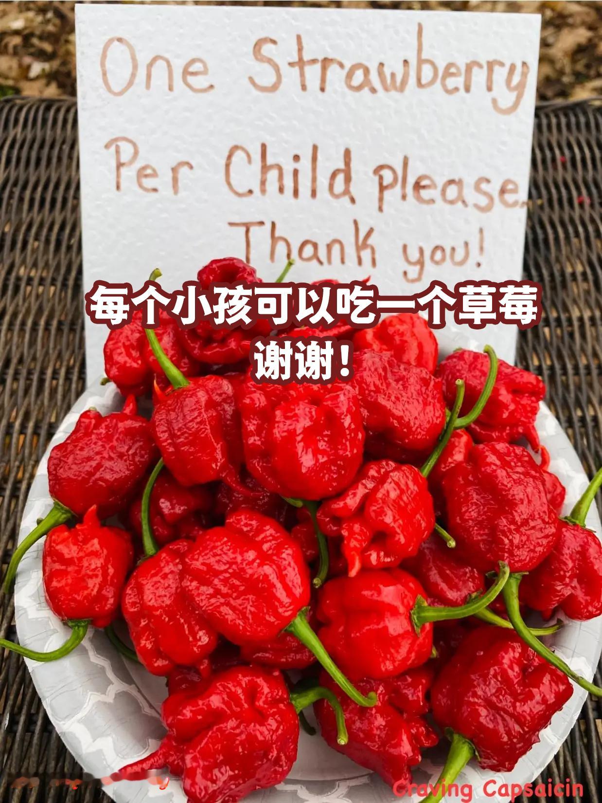 小馋猫可以多吃😋#meme# / #笑料江湖争霸赛# ​​​