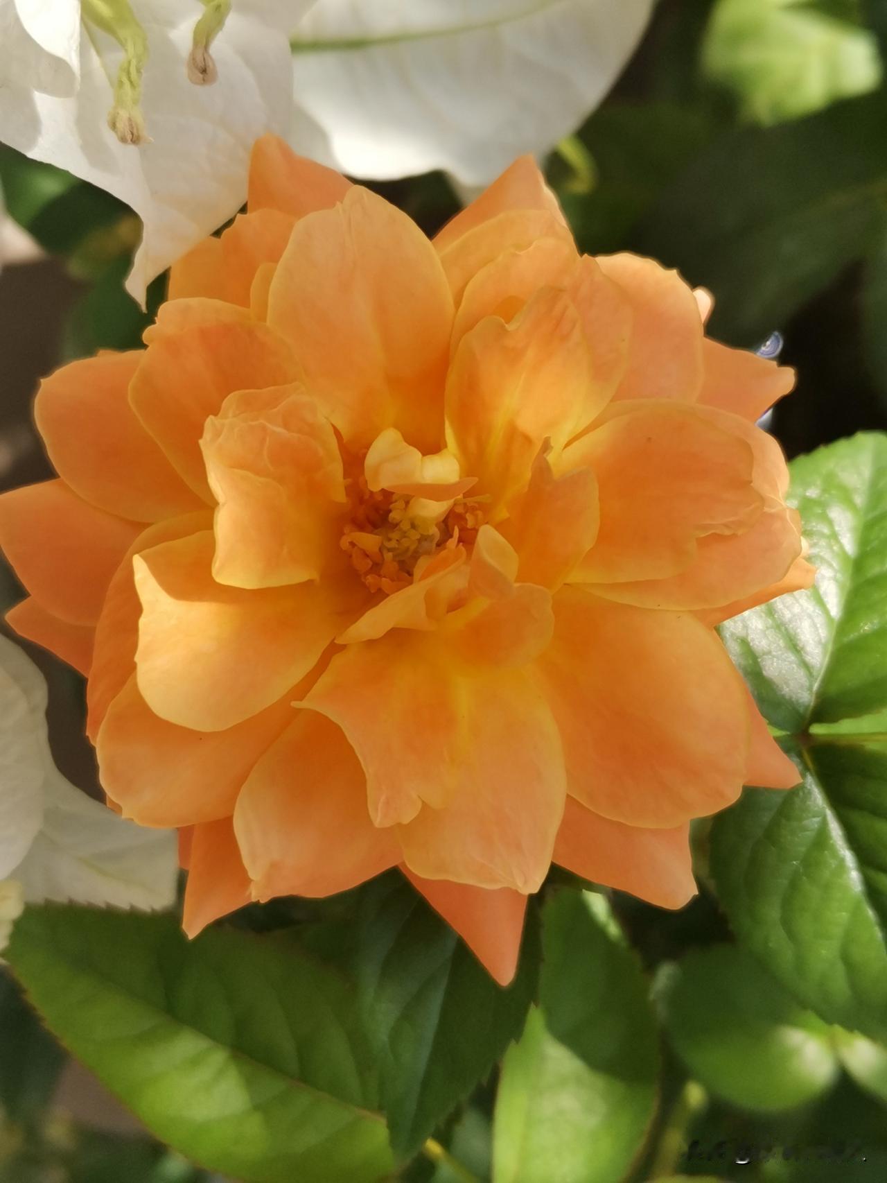 高位落袋科技行业
陆续落袋爆拉消费相关行业
持有低位春节相关
播种春天行业
恭喜