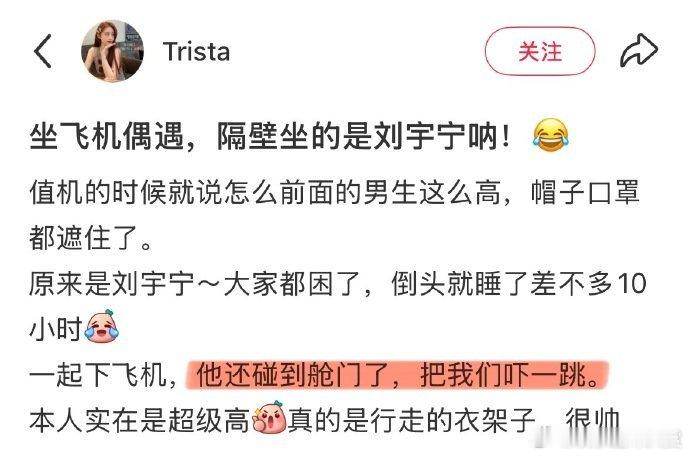 刘宇宁下飞机打开手机天塌了刘宇宁谁说人生没那么多观众的刘宇宁被乘客偶遇出舱门撞到