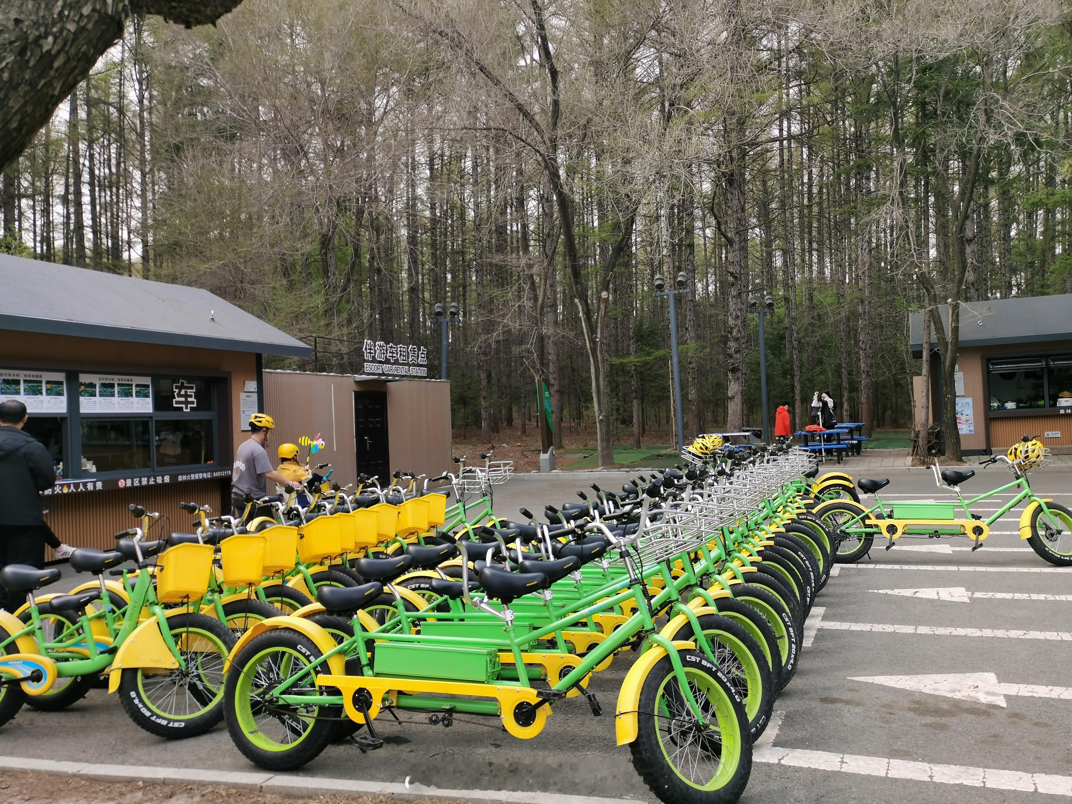 继续捐步做公益啦！今天净月潭可太热闹了，徒步🚶🏻、骑行🚴🏻、露营⛺️的人