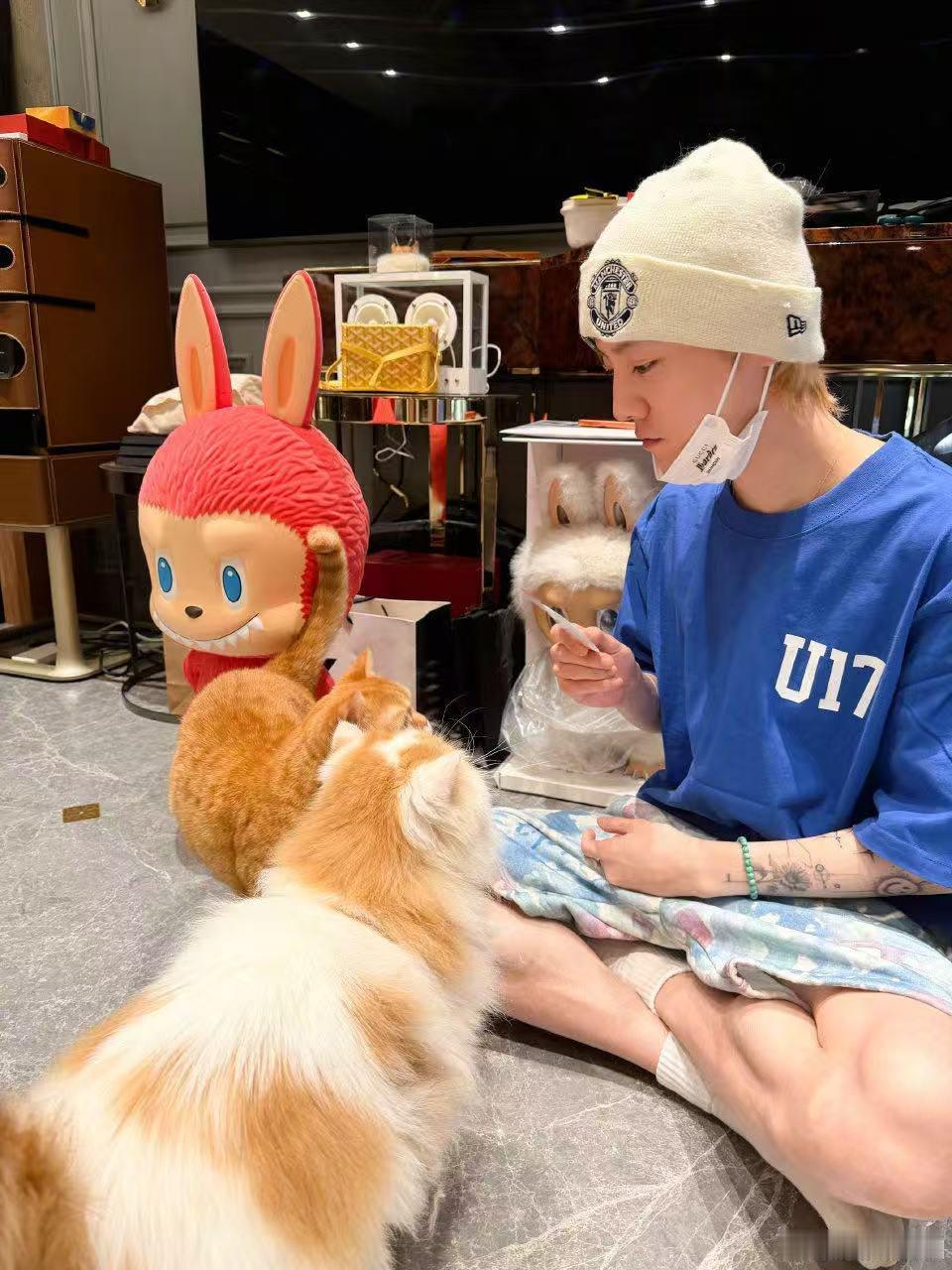 鹿晗素颜喂猫照，先给谁吃呢， 