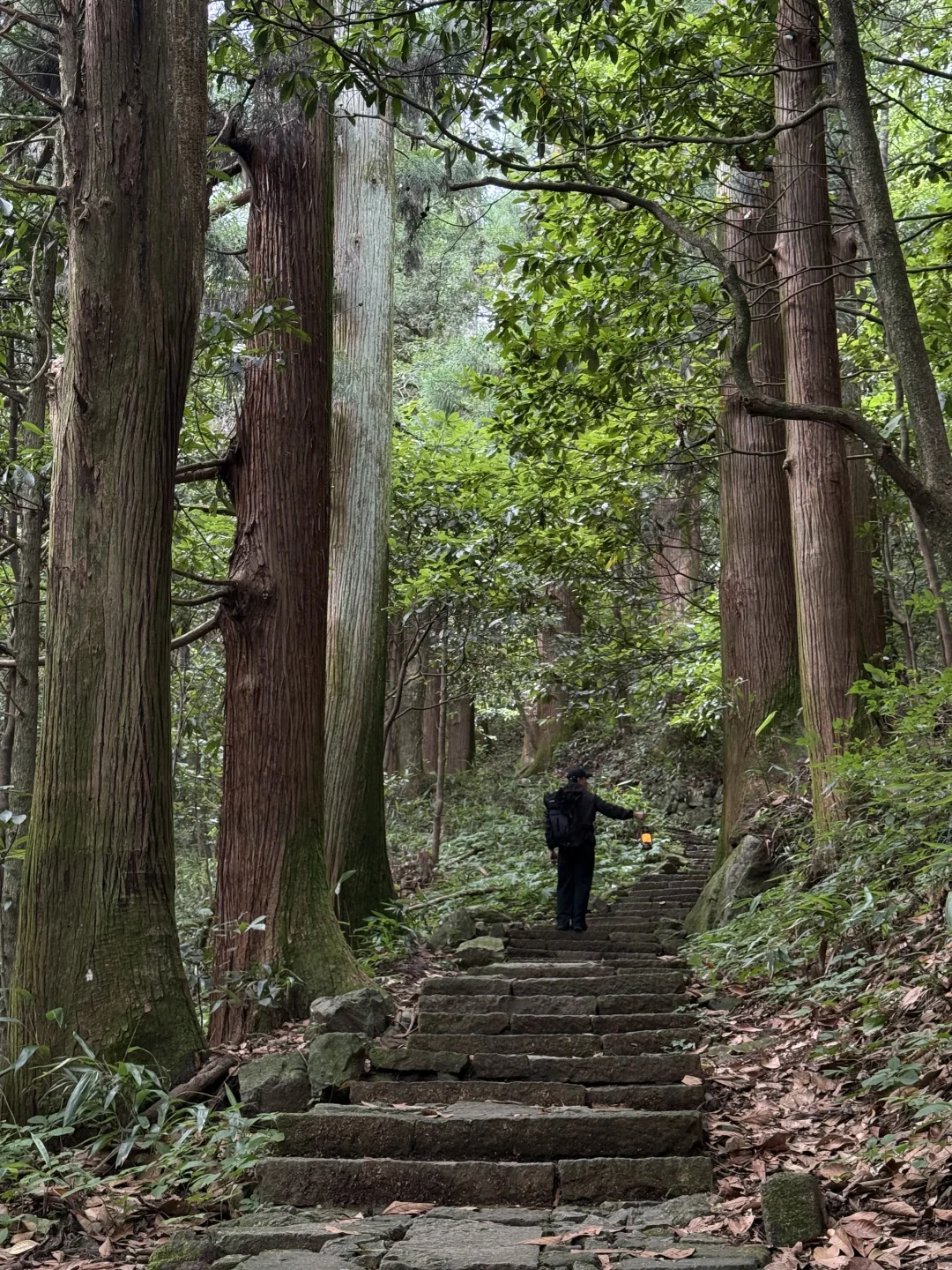 我很少用“震撼”来形容一个地方‼️
