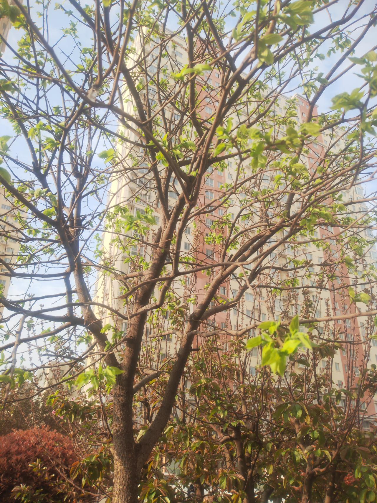 如何看待现在流行的老年大学