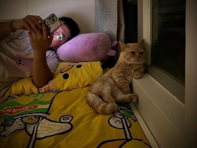 别光顾着玩手机，而冷落了小猫咪 ​​​
