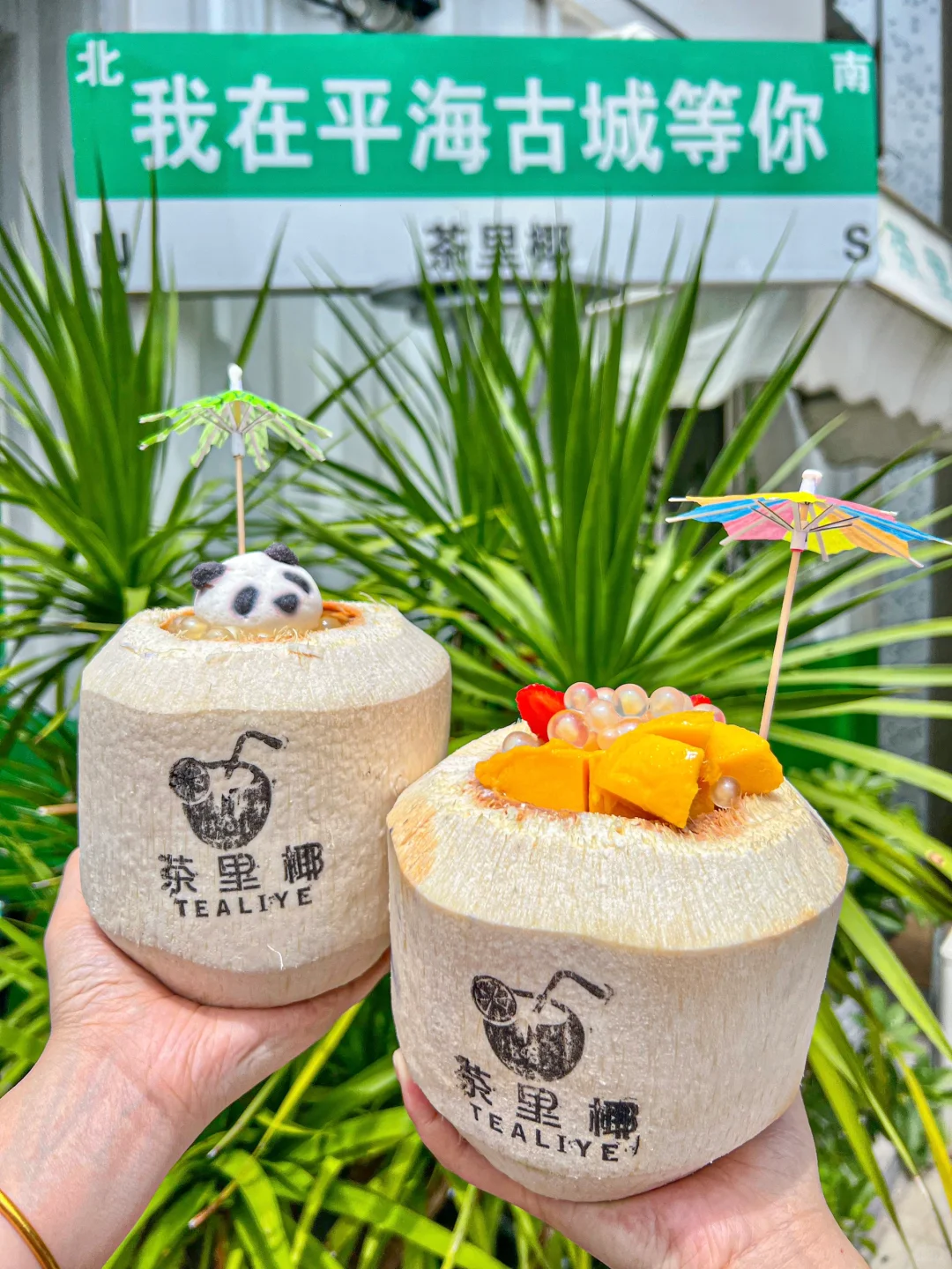 双月湾｜🥥夏天是椰子和大海的味道