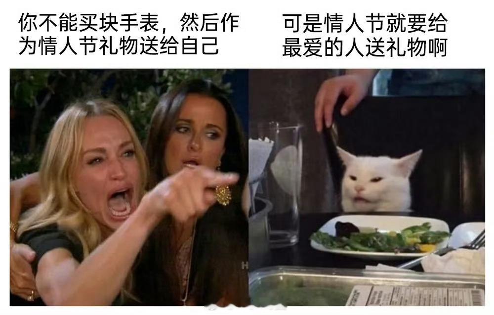 今天是520，我们都要爱自己好不好猫meme /520快乐 ​​​