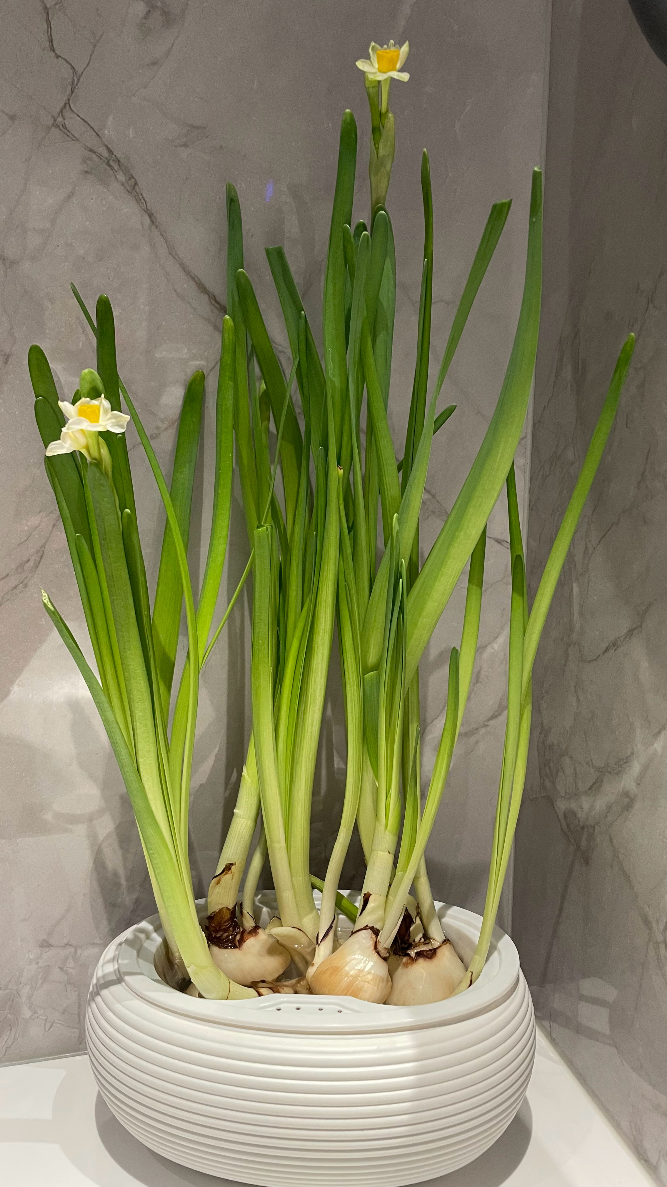 相信你 相信我静等花开 好吗 