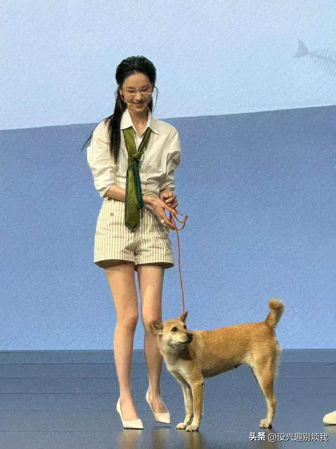 陈都灵这眼镜一戴，智商蹭蹭往上涨啊！