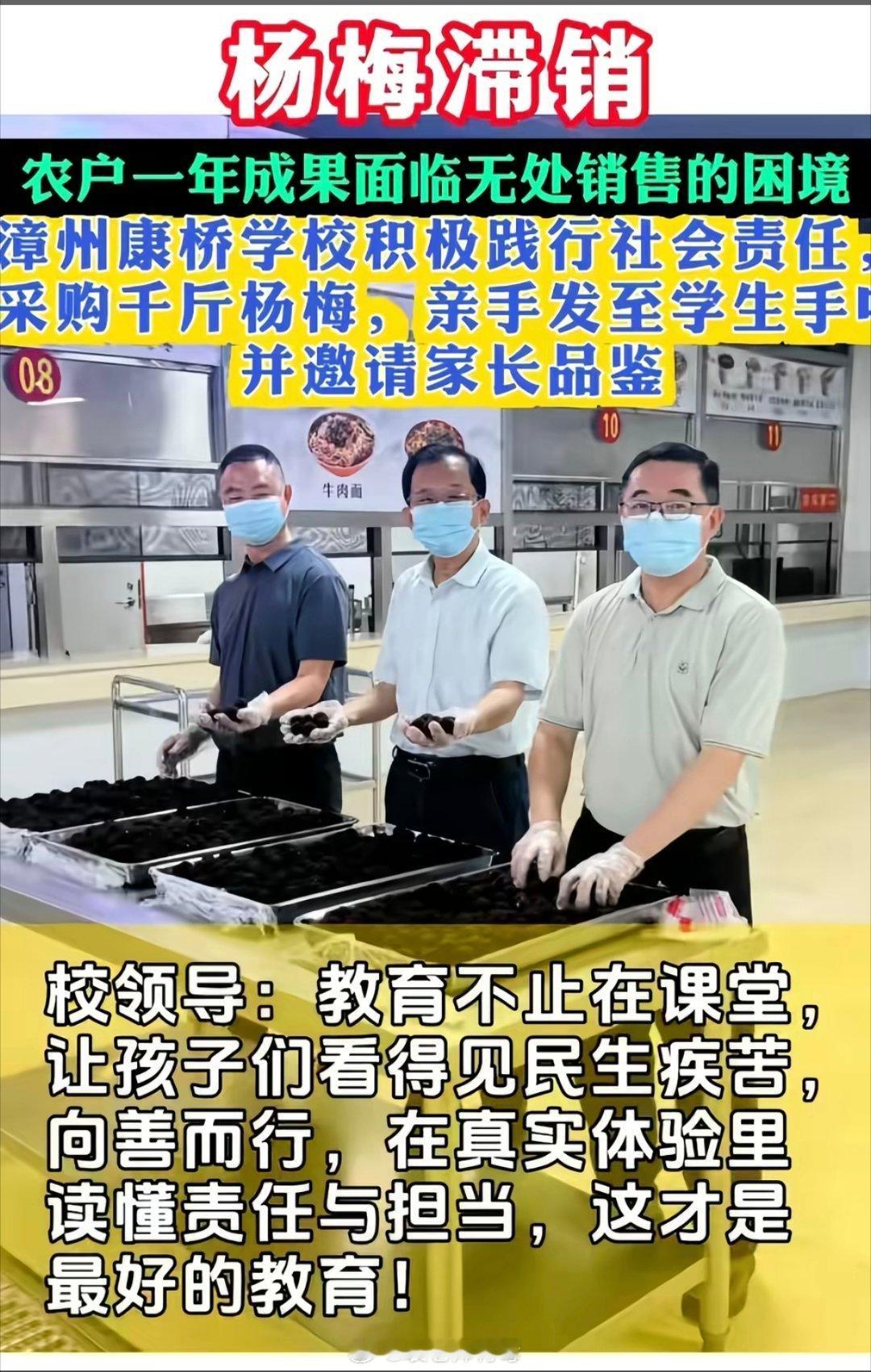 除了采购助力外，学校还应该给孩子讲清楚杨梅为何滞销，教会孩子搞懂为什么。另外，除