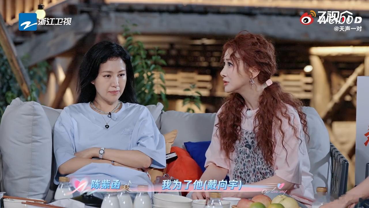 陈紫函3年做了12次试管陈紫函为了戴向宇停工3年做12次试管 ​​​三年十二次试