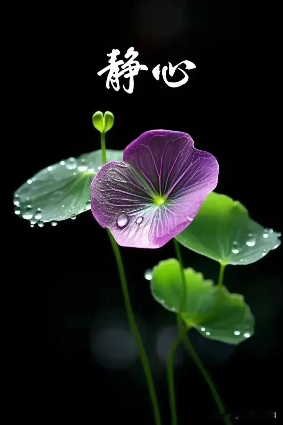 练功就是修练

练功方法很多，禅定，念佛，打坐，站桩，太极，易筋，八段锦等等，但