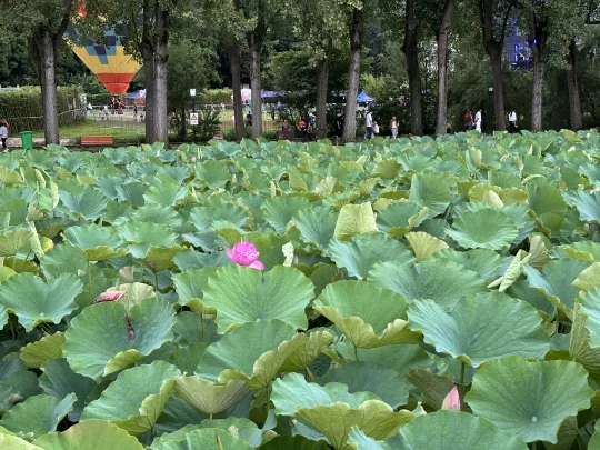 冷知识:1、一个女生长的越好看，反而可能女生朋友越少。 2、出生时，我...