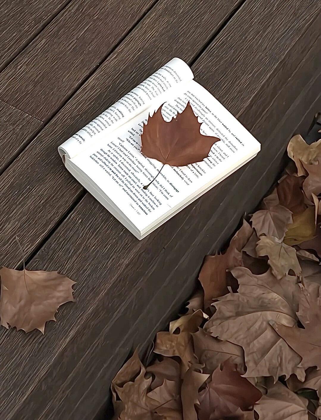 𝐰𝐞𝐜𝐡𝐚𝐭值得长期不换的小众背景图 ⁺₊🤎🥥🍂 