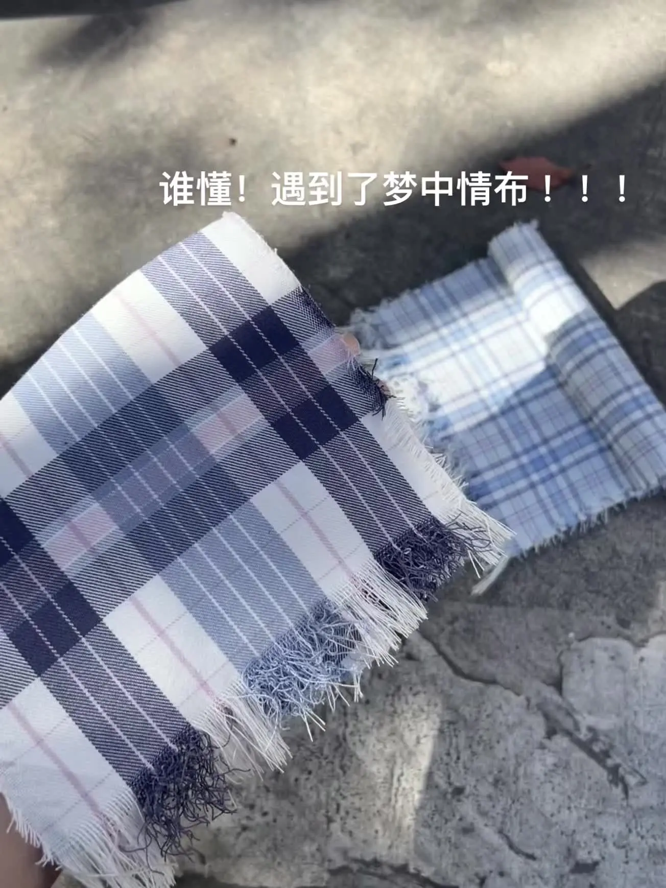 又又又被硬控了！！