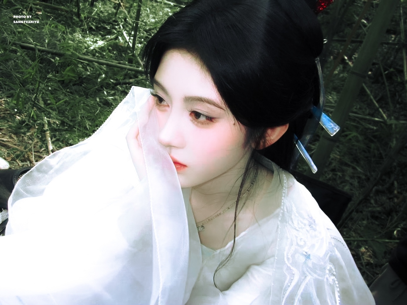 *深林人不知🍃🎋鞠婧祎姜黎非