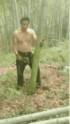 砍竹子是个体力活，但是感觉挺有意思，可惜从来没有干过这样的活，因为在我们这里，根