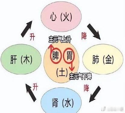 为什么说，肝与肾同具相火？这里说的同具相火：相火是与心之君火相对而言的。一般认为