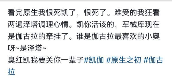 13163这两张是同一人发言 