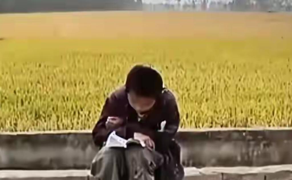 江苏10岁男孩，父亲病故，母亲改嫁，被三姑收养竟每天住狗窝。

这个孩子的生活真