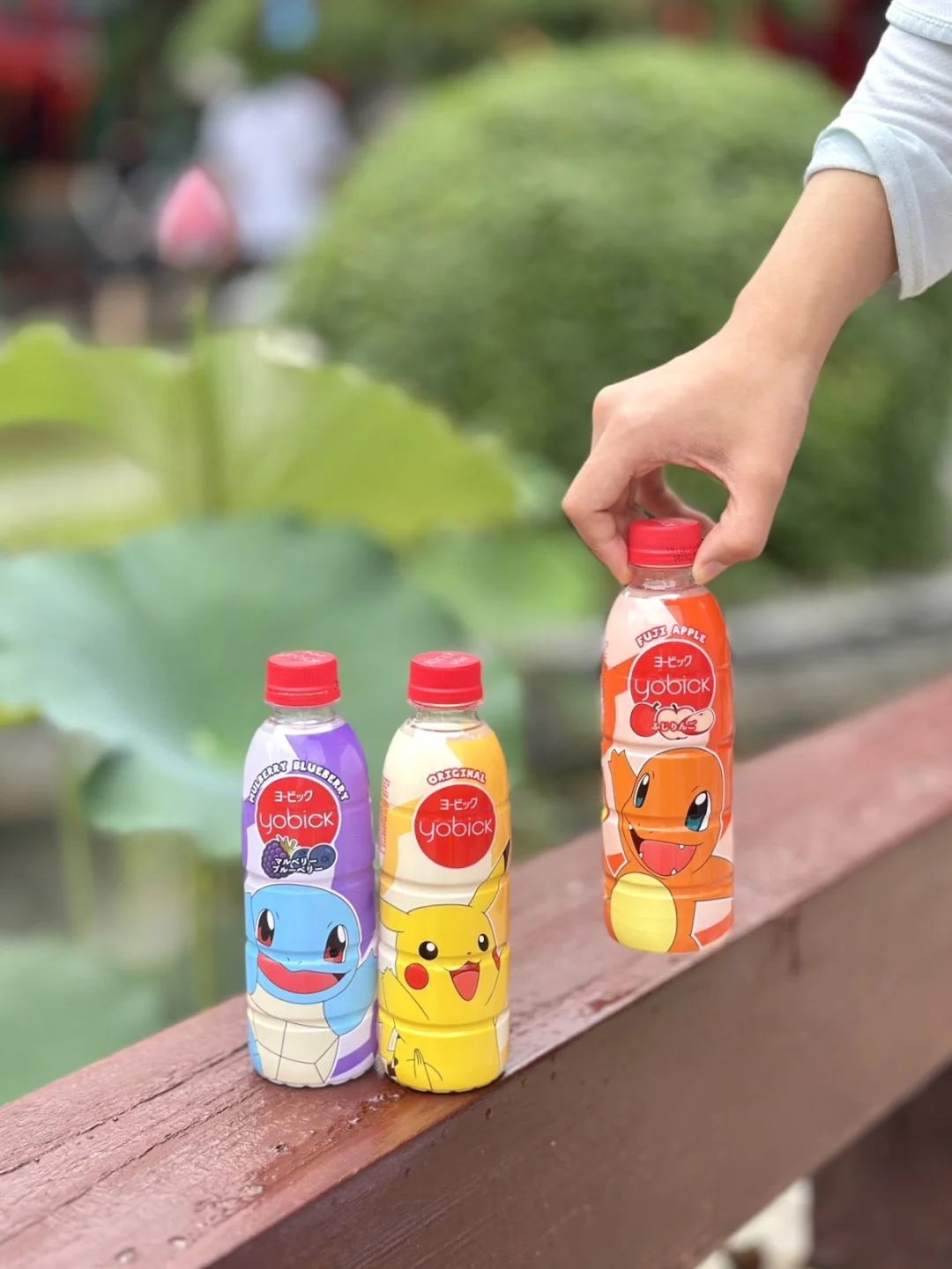 宝可梦控速来！这款乳酸菌太可了