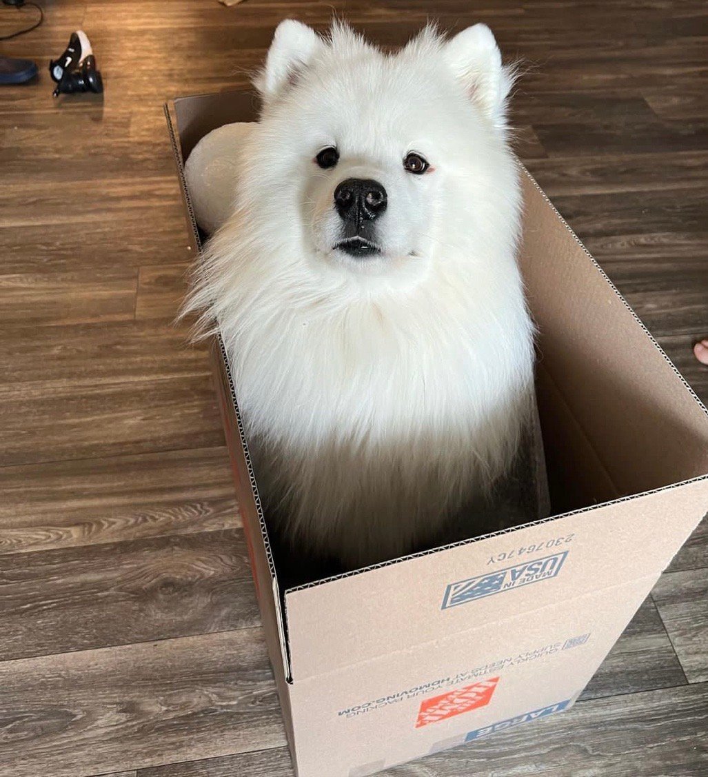 这个家我待不下去了，请把我打包送给其他姨姨吧 