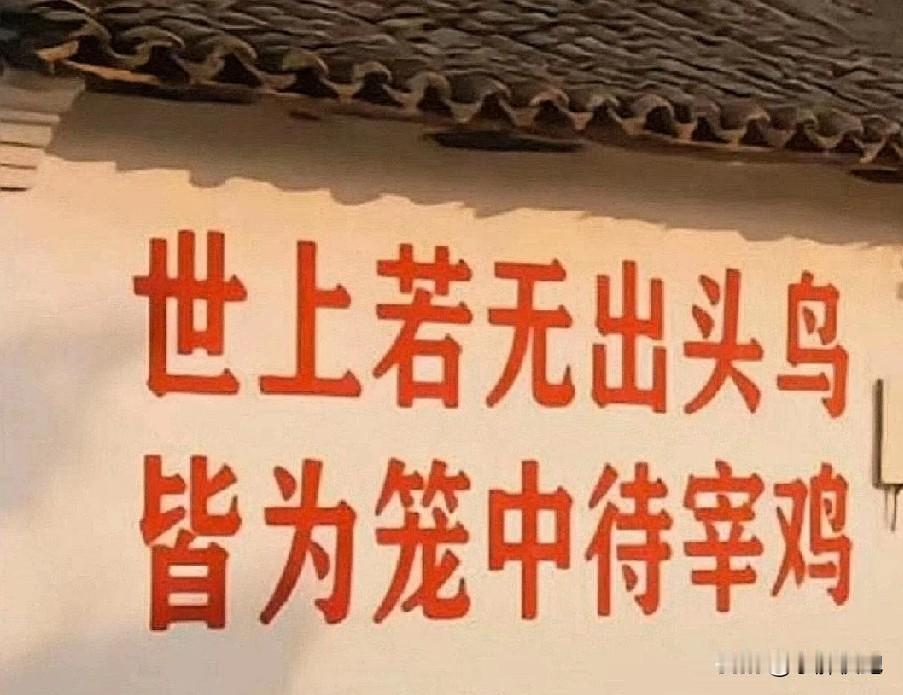 你当好人的时候那些坏人来欺负你，你当坏人的时候那些好人来审判你。老实人心里住着佛