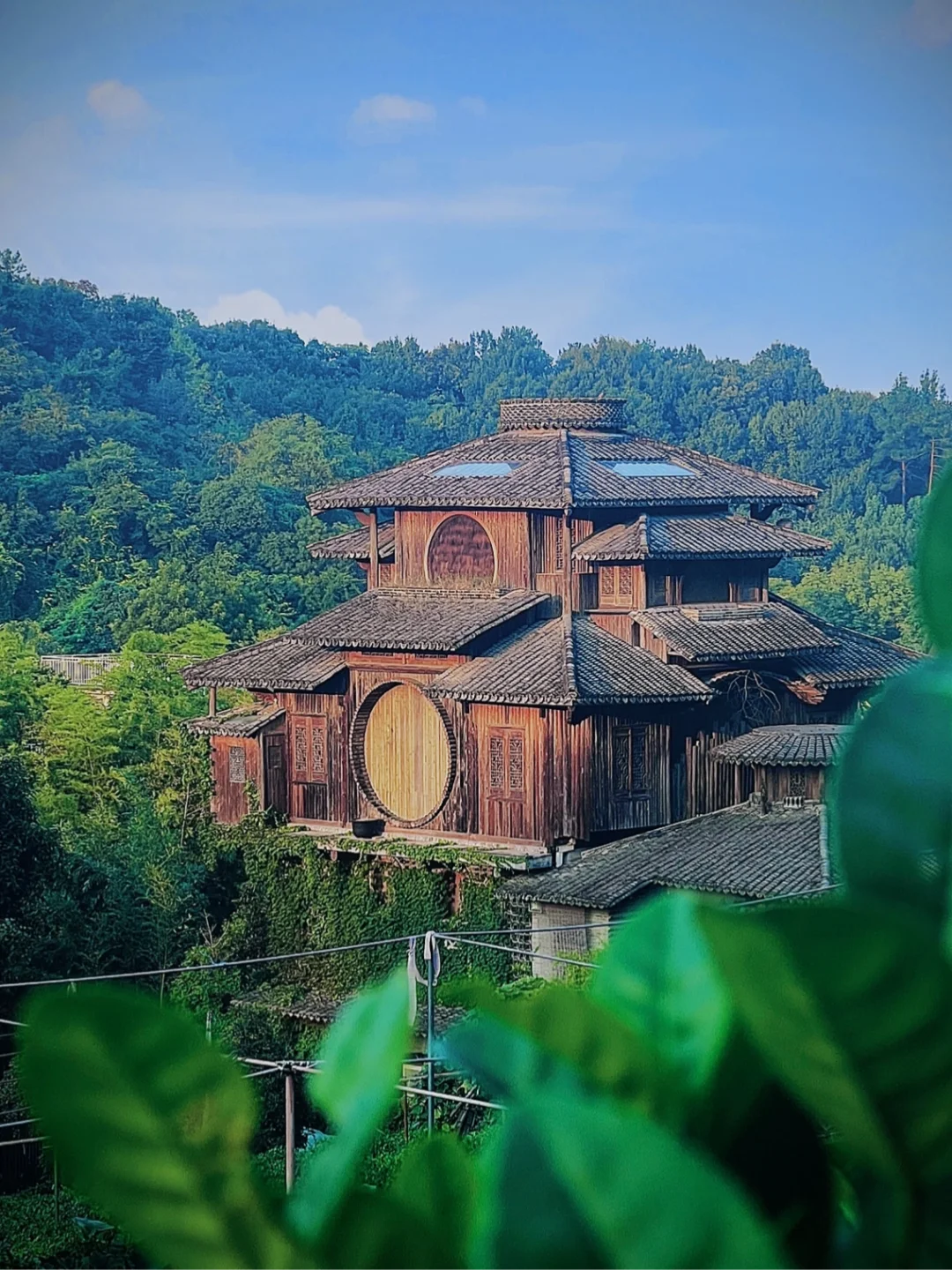 杭州旅游‼️本地人最爱的宝藏公交路线87路