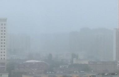昨日雨后，今日大雾，
犹豫着要不要出去跑步，
也不知道雨后的大雾里，
污染物质含