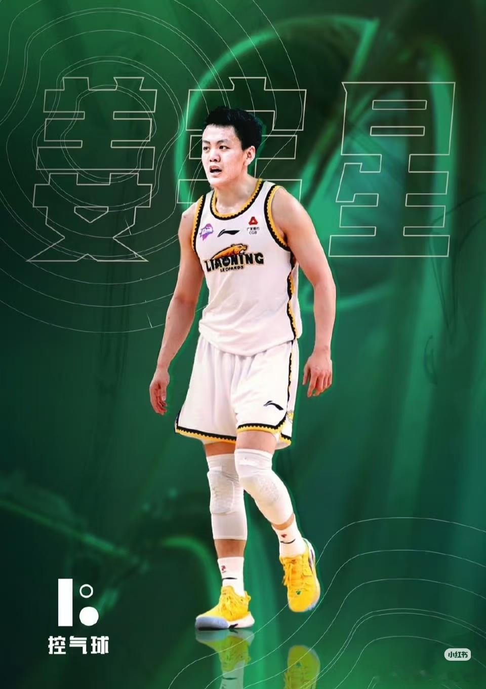 辽宁男篮 刘家接手球队之后，一共就买了三个国内球员，付豪、姜宇星和王岚嵚。剩下的