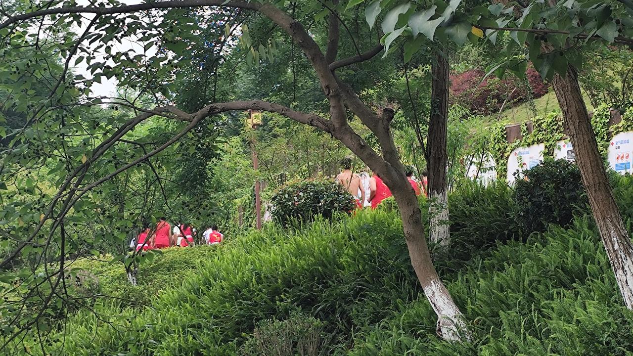 记录我的2026公园随手拍分享自然风景照片
