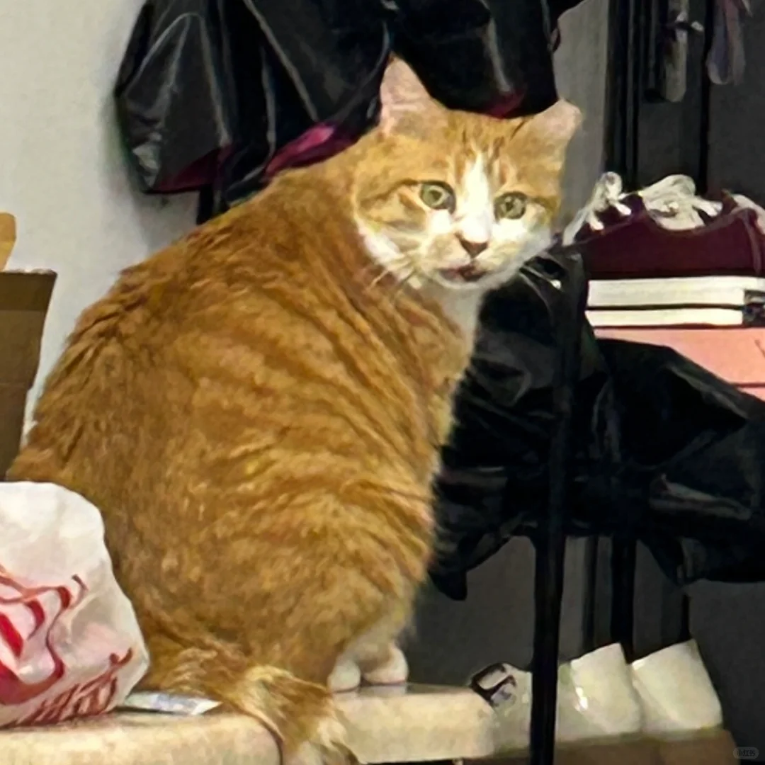 啊？你叫我吗？