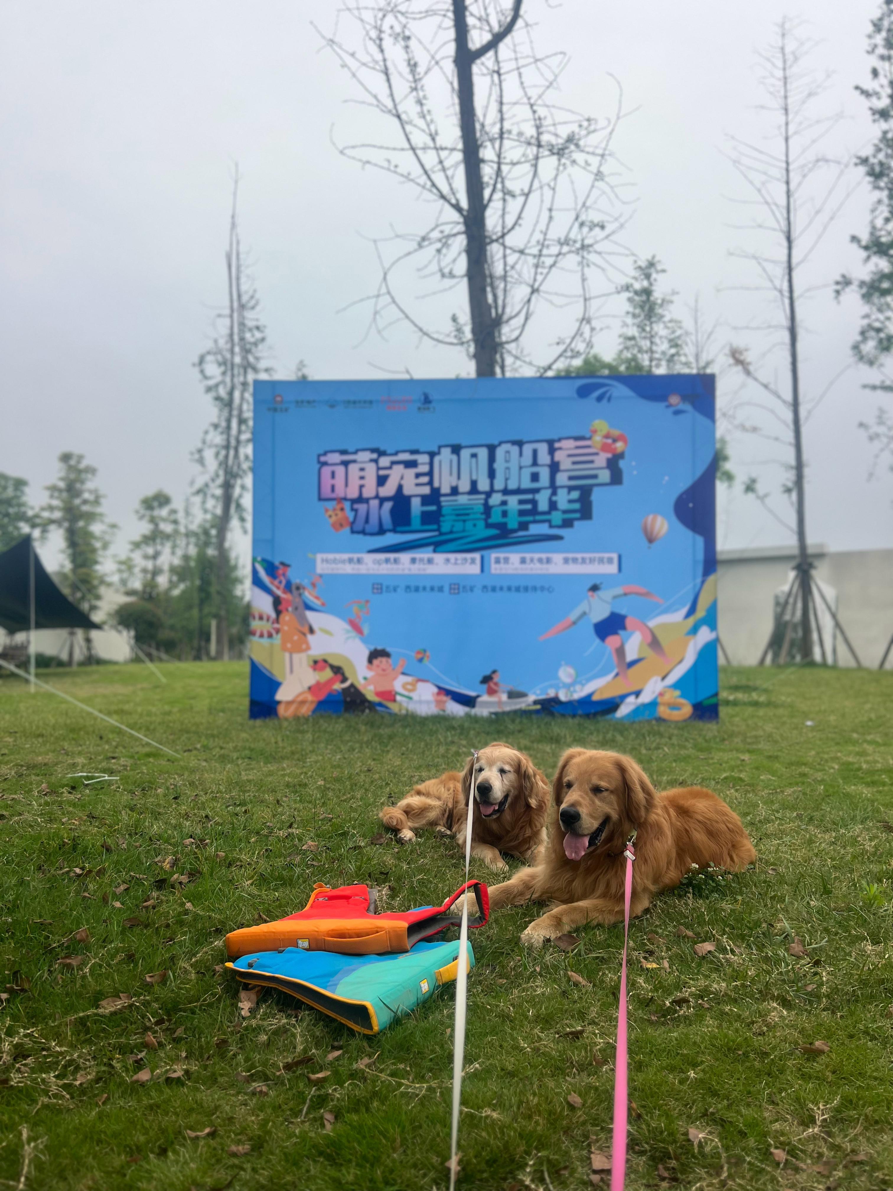 来呀，玩呀，哈哈哈哈 ​​​