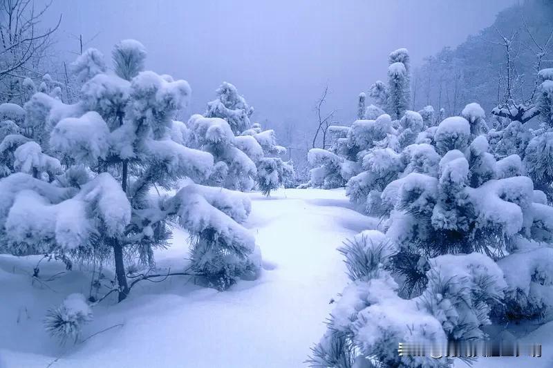 冬雪覆青松。诚对上联 看到“冬雪覆青松”求上联，我脑袋里第一个想到“秋霜扫黄叶”