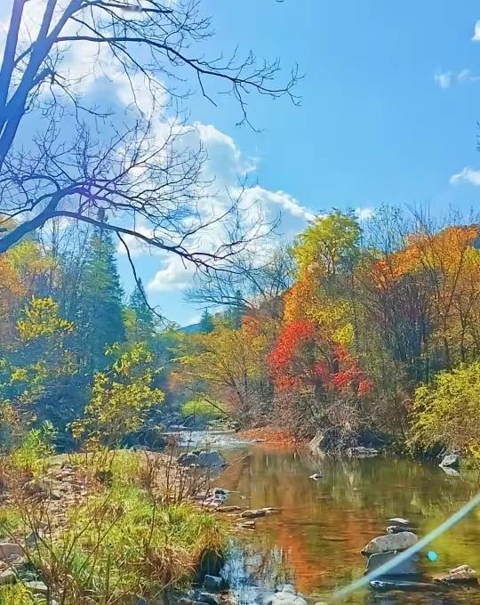 与痛风斗争的历程56

   早晨阳光很好，新的一天如期而至。该来的，终究躲不过