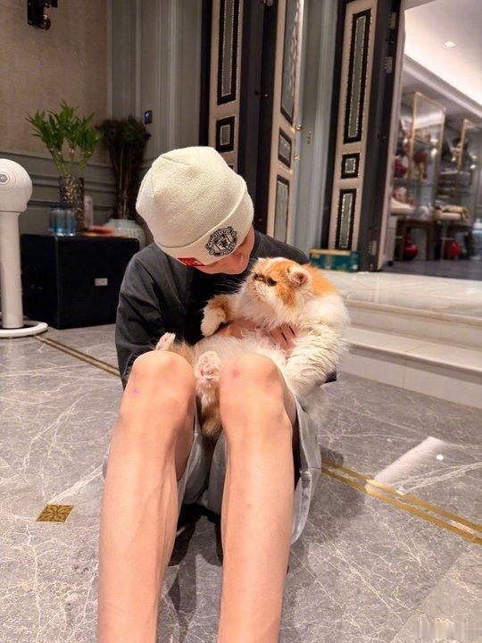 连狗狗名字都是馒头哈哈哈 