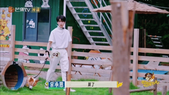 谁家综艺五个人都命苦又好笑敖子逸、沙一汀等五人带毛孩子，全程状况百出超“命苦”，