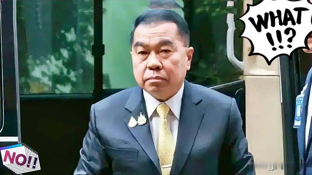 最新快讯！
泰国正式宣布了

泰国国防部长纳塔蓬23日称，不满国际社会只呼吁泰国