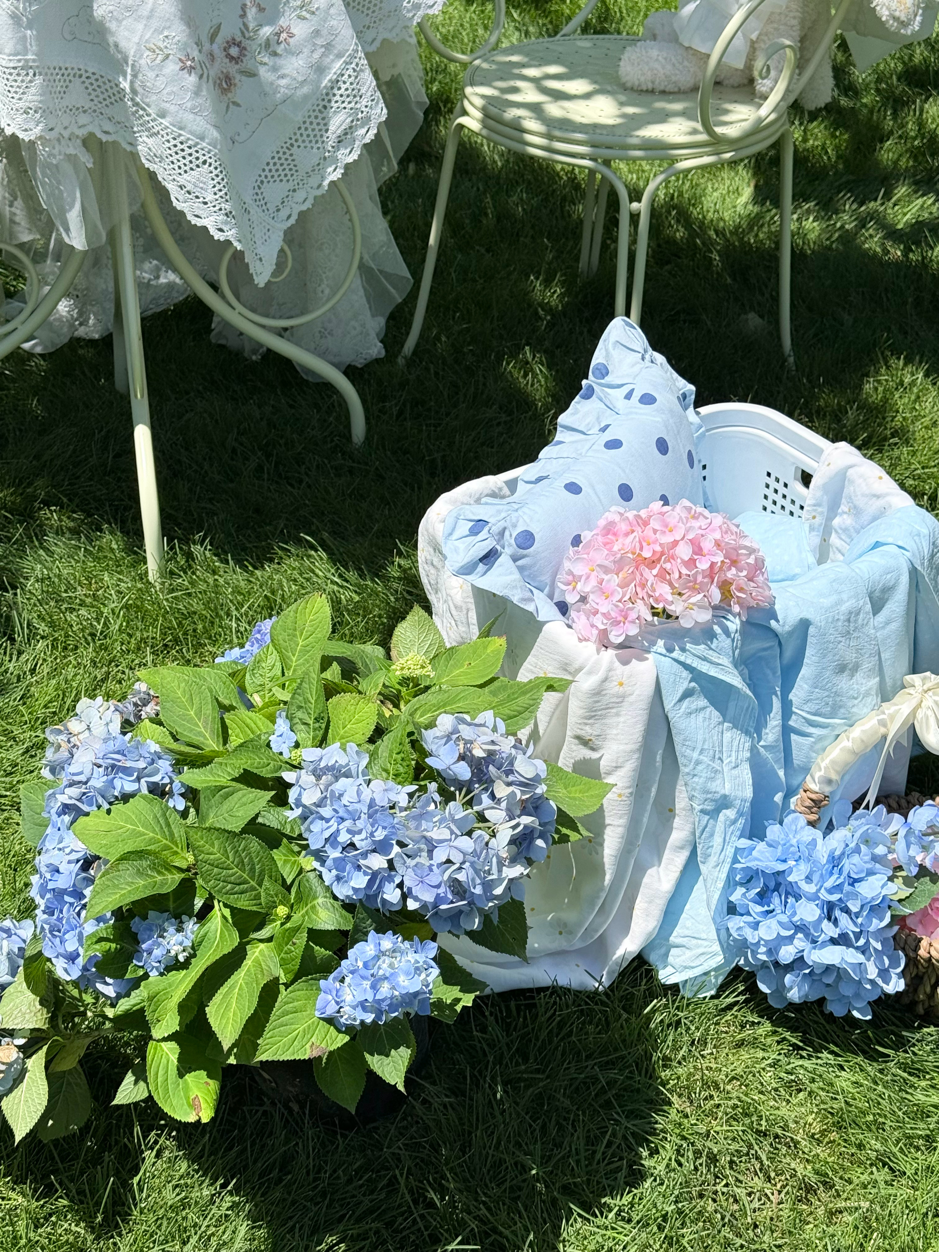 🌿夏天的美好 都在这一刻里了天航工作室韩系少女心外景夏日限定live花絮