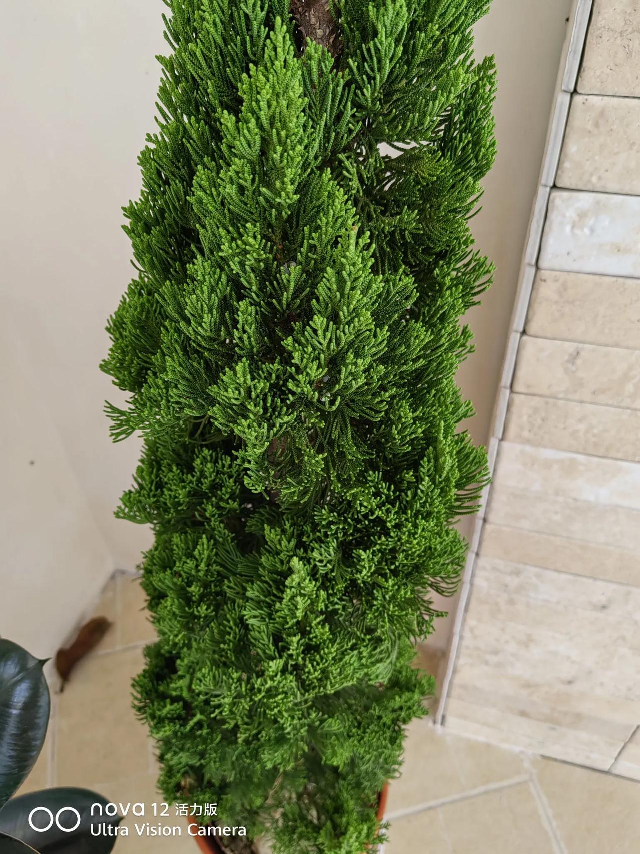 老师给的题目         婚前女方要求男方房产加名字过分吗？过分。我不理解干
