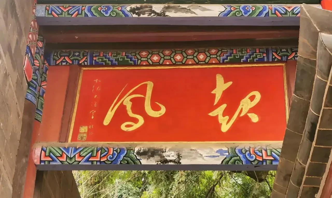 这草书书法写的自然流畅，洒脱奔放，在红色底纹上用黄色墨迹书写，就更显得光彩照人。