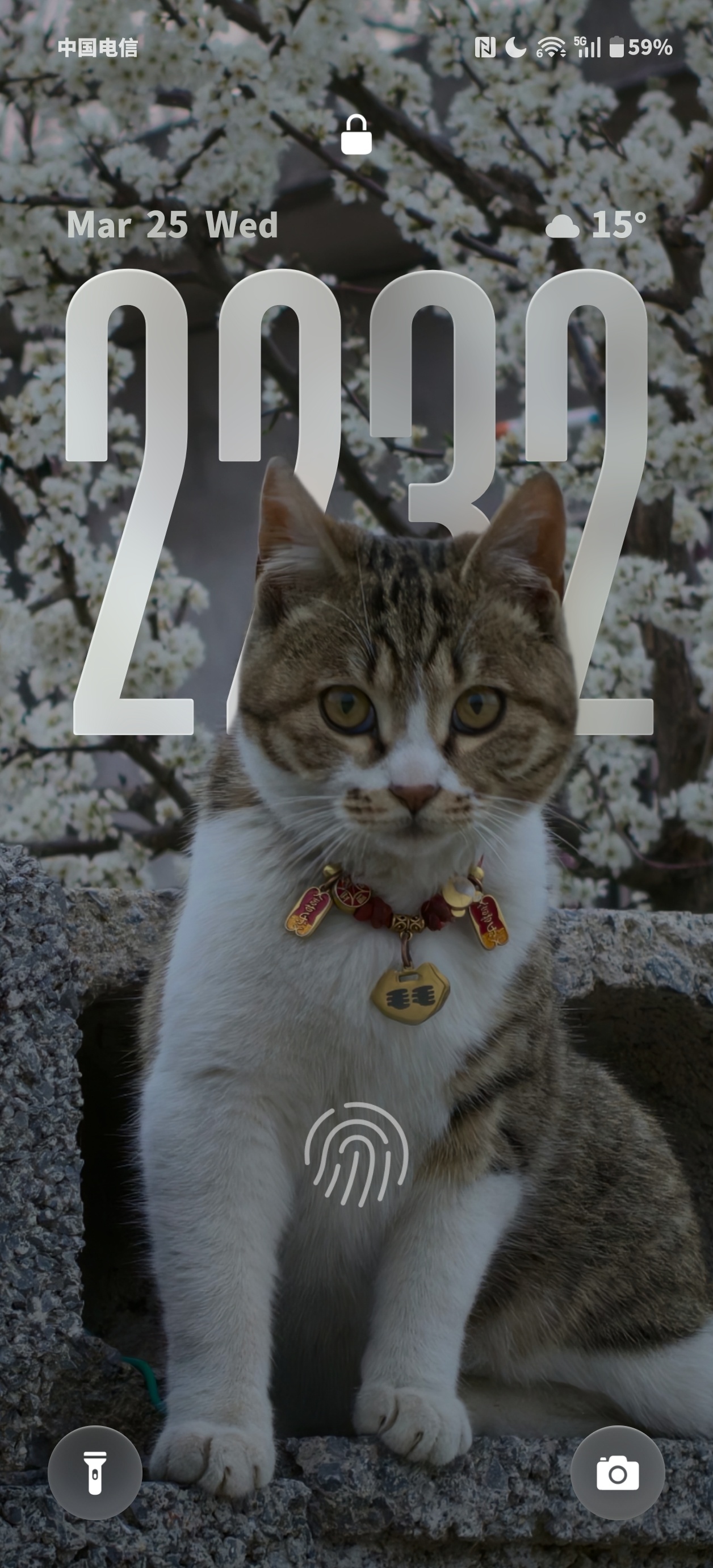 也是用上新壁纸了🤩 