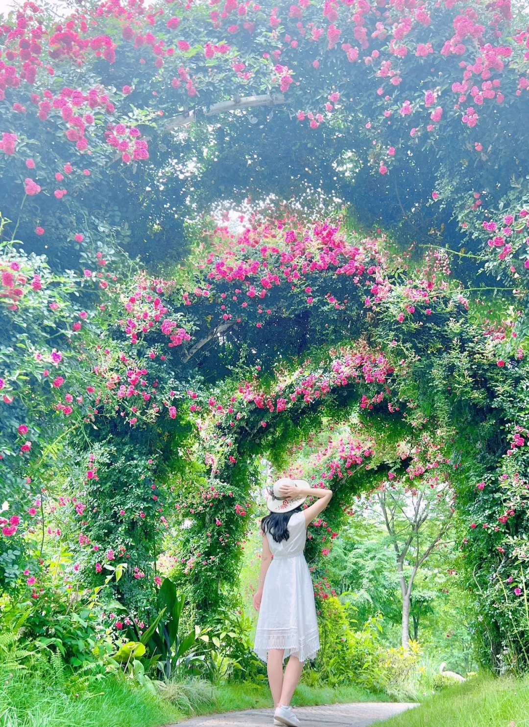 地铁直达🔥武汉8个免费的蔷薇花海打卡地‼️