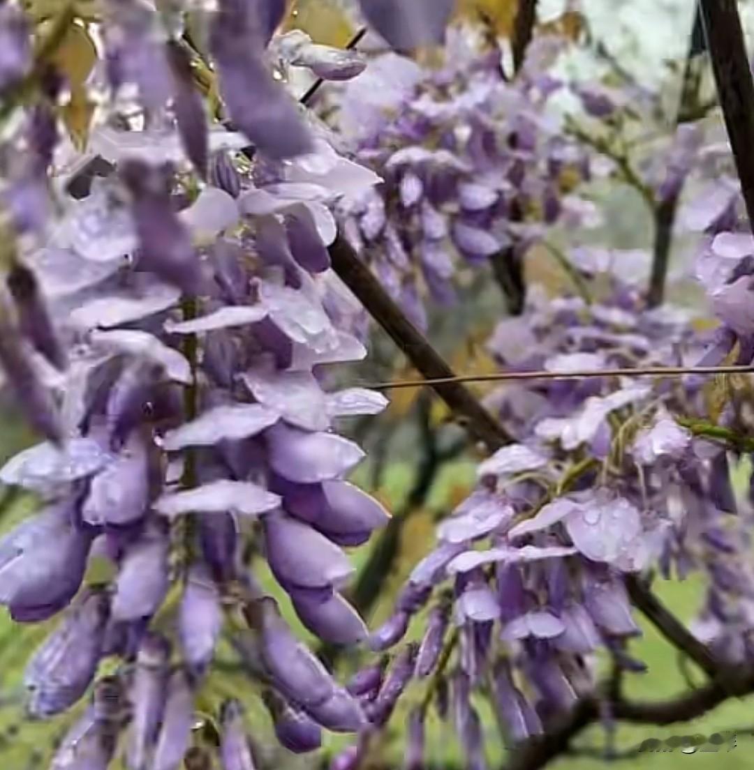 用最干净的文笔，写最纯粹的文字，作为一个文字传播者，你的文字就是你立起来的人格和